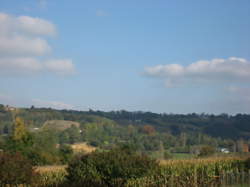 photo Balade vigneronne : Clos Bellevue