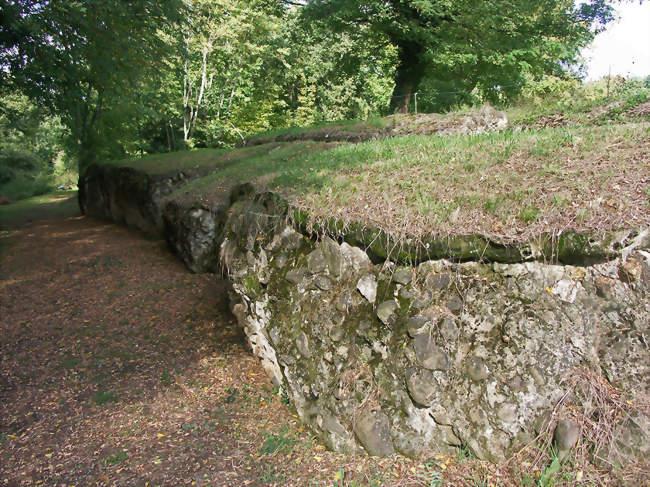 Enceinte gallo-romaine - Saint-Lézer (65500) - Hautes-Pyrénées