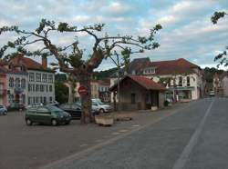 photo Menuisier / Menuisière en industrie du bois