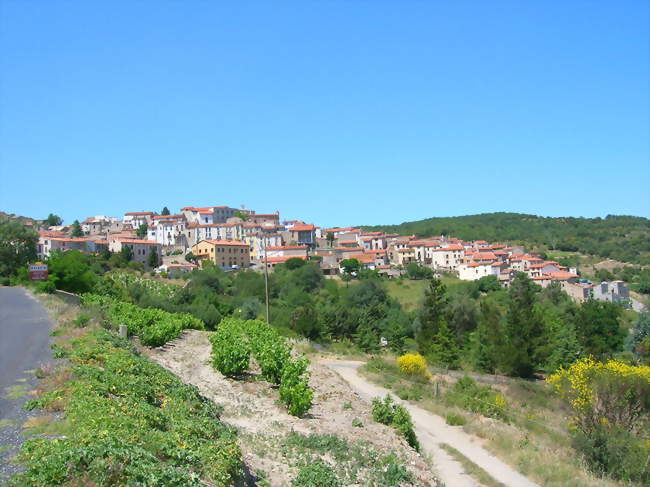 Vue générale de Bélesta - Bélesta (66720) - Pyrénées-Orientales