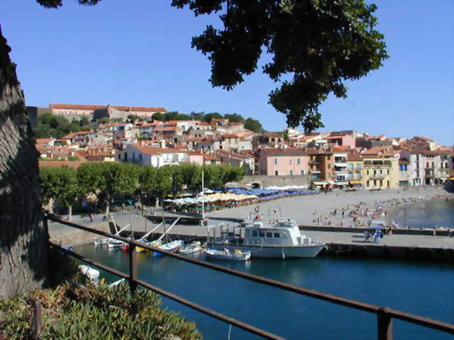 Partie nord de Collioure - Collioure (66190) - Pyrénées-Orientales