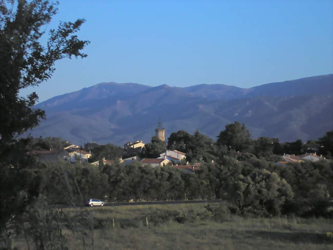 Latour Bas Elne et les Albères - Latour-Bas-Elne (66200) - Pyrénées-Orientales