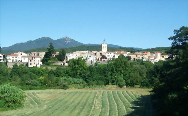 Maureillas-las-Illas - Maureillas-las-Illas (66480) - Pyrénées-Orientales