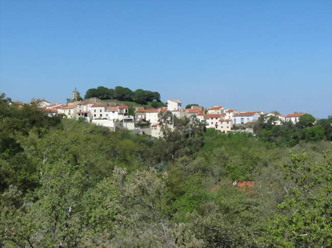 Le village - Montesquieu-des-Albères (66740) - Pyrénées-Orientales