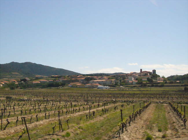 Le village de Montner - Montner (66720) - Pyrénées-Orientales