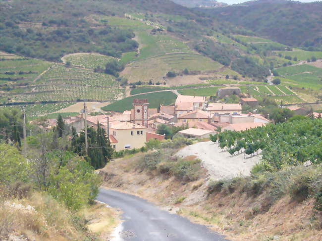 Planèzes - Planèzes (66720) - Pyrénées-Orientales