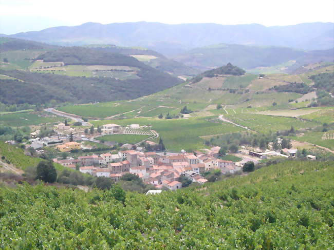Rasiguères - Rasiguères (66720) - Pyrénées-Orientales