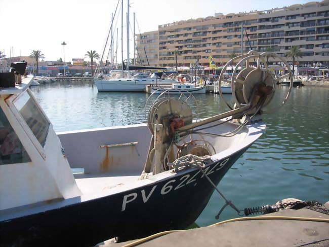 Saint-Cyprien - Saint-Cyprien (66750) - Pyrénées-Orientales