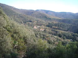 photo L'Albère