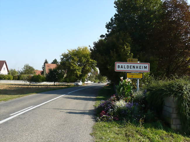 Baldenheim - Baldenheim (67600) - Bas-Rhin