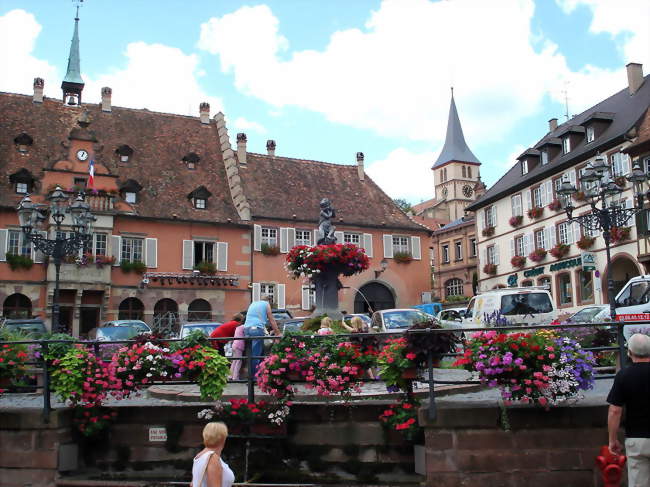 Place de l'Hôtel de ville - Barr (67140) - Bas-Rhin