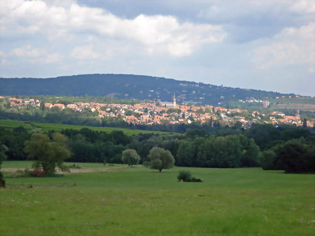 Bernardswiller - un village vigneron Réf 09