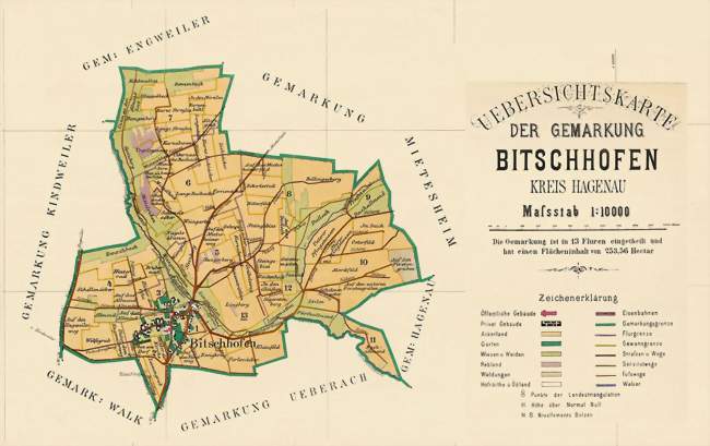 Plan cadastral de Bitschhoffen de 1893 - Bitschhoffen (67350) - Bas-Rhin