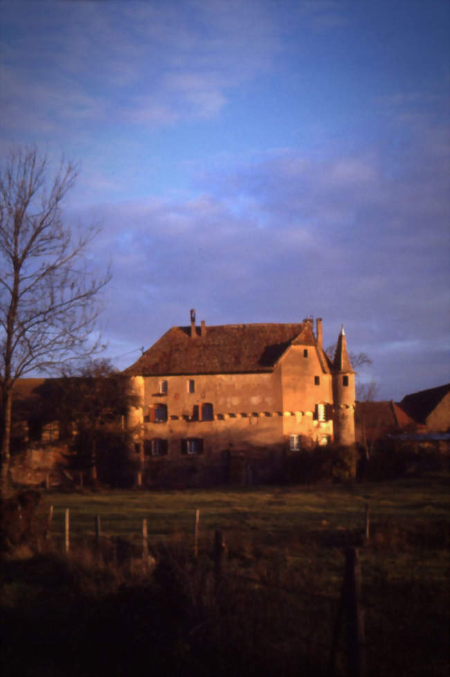 Château de Breuschwickersheim - Breuschwickersheim (67112) - Bas-Rhin