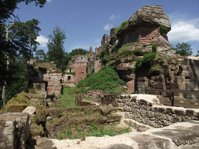 Ruines du château du Schneck - Dambach (67110) - Bas-Rhin