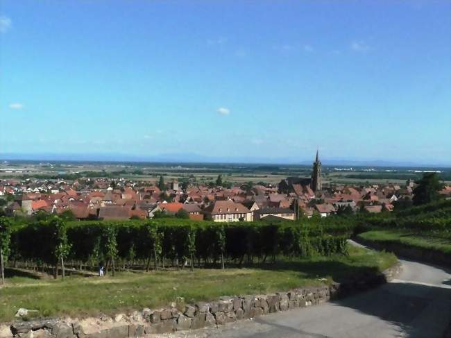 Vue sur le village de Dambach-la-Ville depuis la chapelle Saint Sébastien - Dambach-la-Ville (67650) - Bas-Rhin