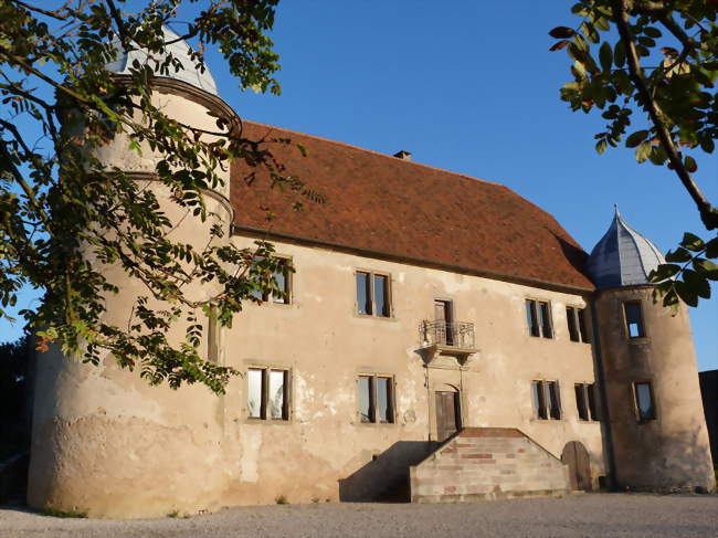 Château de Diedendorf - Diedendorf (67260) - Bas-Rhin