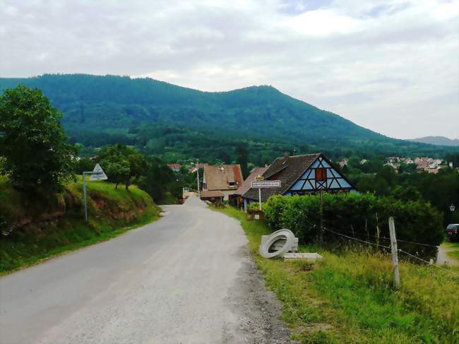 Entrée du village de Dieffenbach-au-Val - Dieffenbach-au-Val (67220) - Bas-Rhin