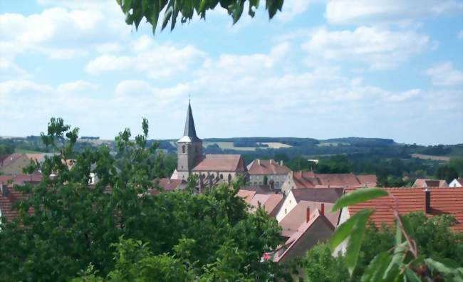 Vue sur l'église du XIVe et la mairie-école - Domfessel (67430) - Bas-Rhin