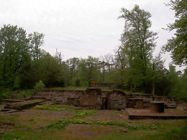 Ruines du château du Warthenberg - Ernolsheim-lès-Saverne (67330) - Bas-Rhin