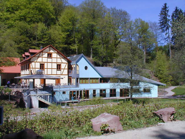 Maison de l'eau et de la rivière - Frohmuhl (67290) - Bas-Rhin