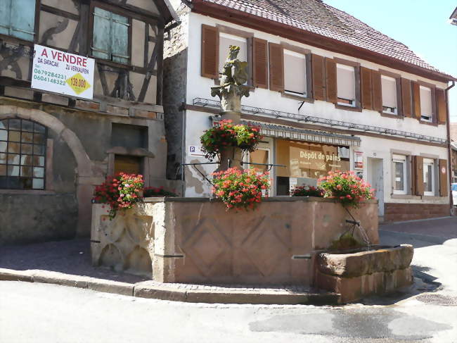 La fontaine de l'ours (1558) - Heiligenstein (67140) - Bas-Rhin