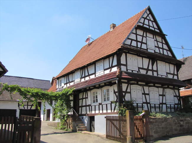 Maison alsacienne - Hoffen (67250) - Bas-Rhin