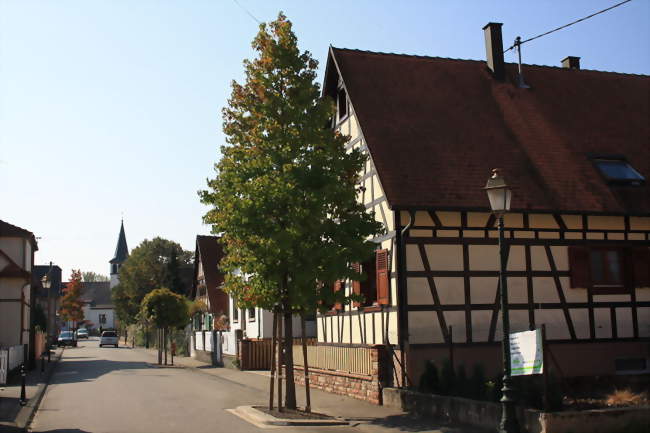 Une rue du village - Kesseldorf (67930) - Bas-Rhin
