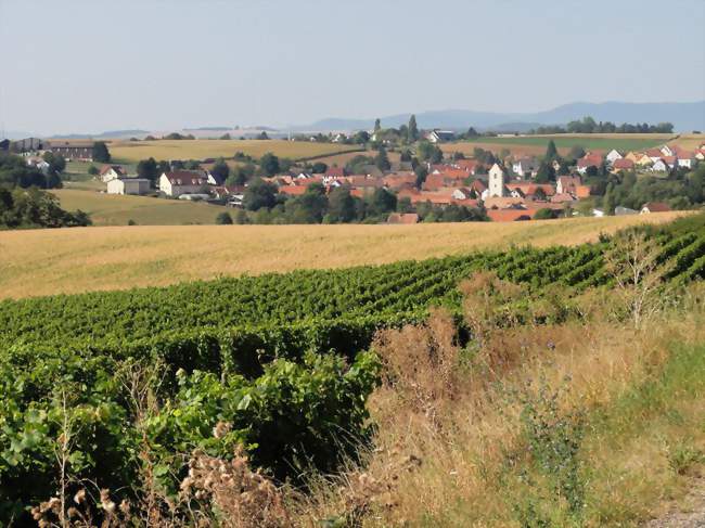 Kienheim - Kienheim (67270) - Bas-Rhin