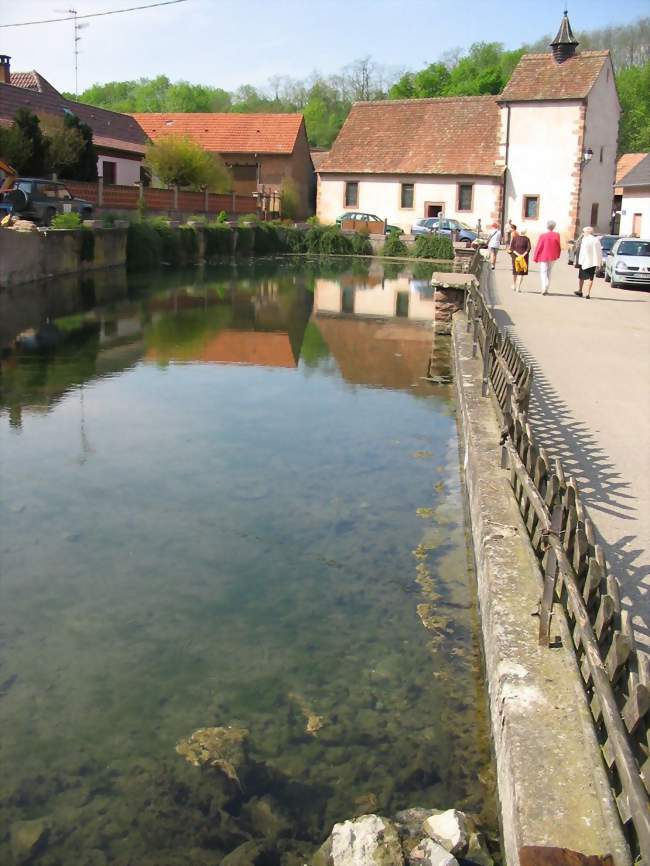 La chapelle Sainte-Barbe et le Schwefelsee - Kuttolsheim (67520) - Bas-Rhin