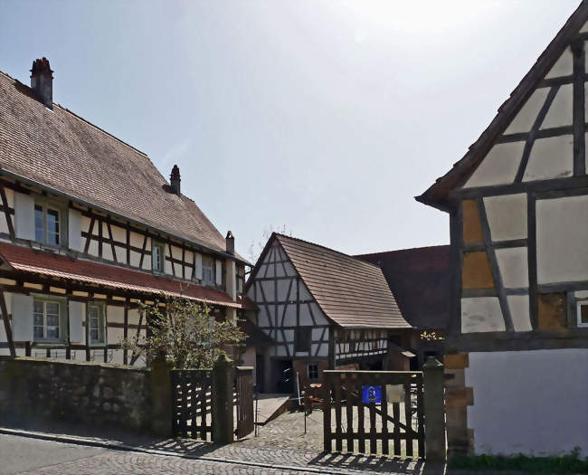 Maison rurale de l'Outre-Forêt - Kutzenhausen (67250) - Bas-Rhin