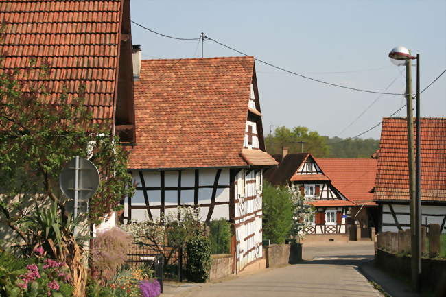 Maisons à colombages - Lampertsloch (67250) - Bas-Rhin