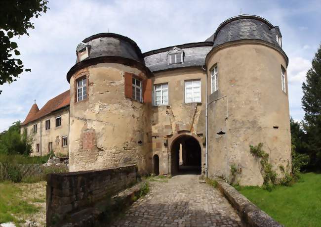 Atelier: Construction de nichoirs à chauve-souris