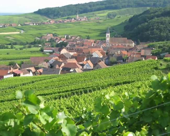 Dîner au cœur du vignoble au Domaine Sohler