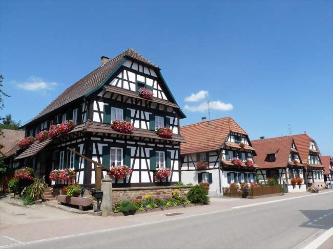 Maisons à colombages et fontaine à balancier - Betschdorf (67660) - Bas-Rhin