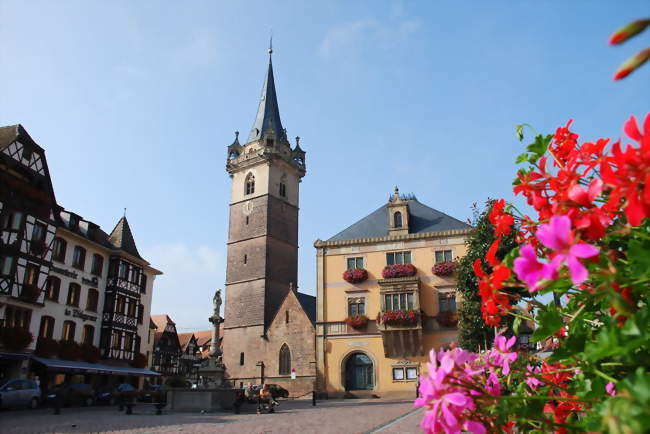 Place du marché - Obernai (67210) - Bas-Rhin