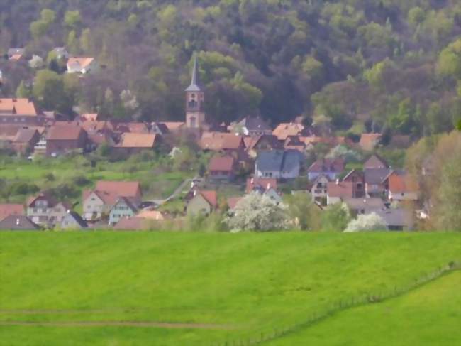 Vue d'Offwiller depuis les champs - Offwiller (67340) - Bas-Rhin