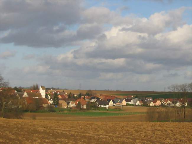 Vue du village de Pfettisheim - Pfettisheim (67370) - Bas-Rhin