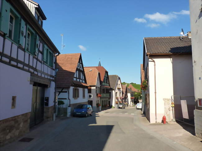 La rue principale - Rosenwiller (67560) - Bas-Rhin