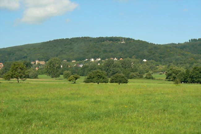 Saint-Jean-Saverne devant le mont Saint-Michel - Saint-Jean-Saverne (67700) - Bas-Rhin