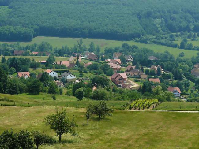 Vue sur une partie du village de Saint-Pierre-Bois depuis le Hohwarth - Saint-Pierre-Bois (67220) - Bas-Rhin
