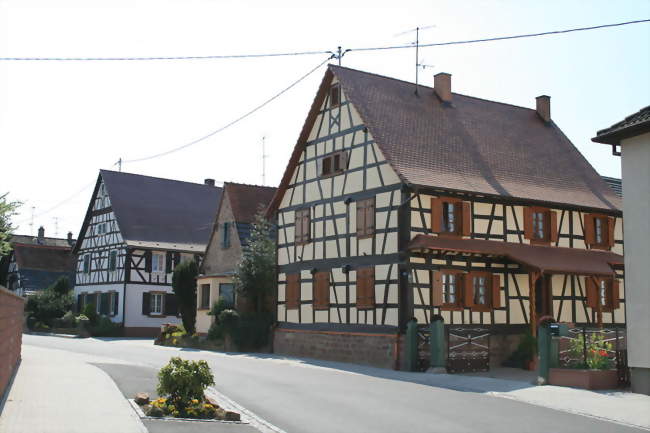 Une maison à colombages - Salmbach (67160) - Bas-Rhin