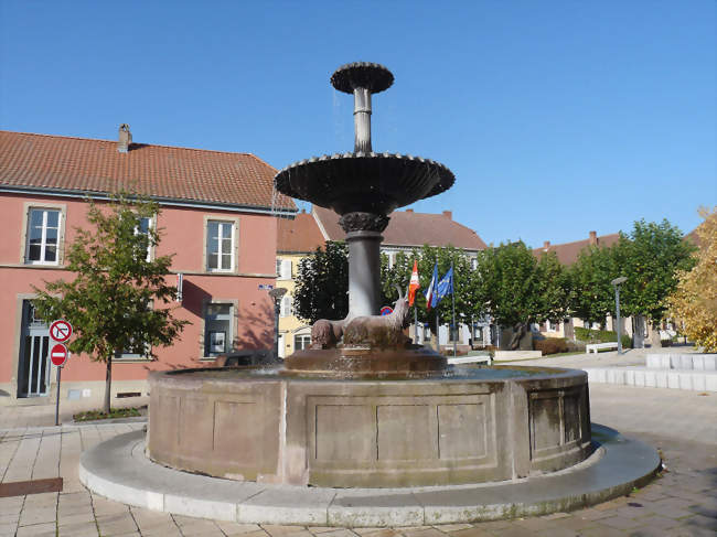 La fontaine aux Boucs sur la place de la République - Sarre-Union (67260) - Bas-Rhin