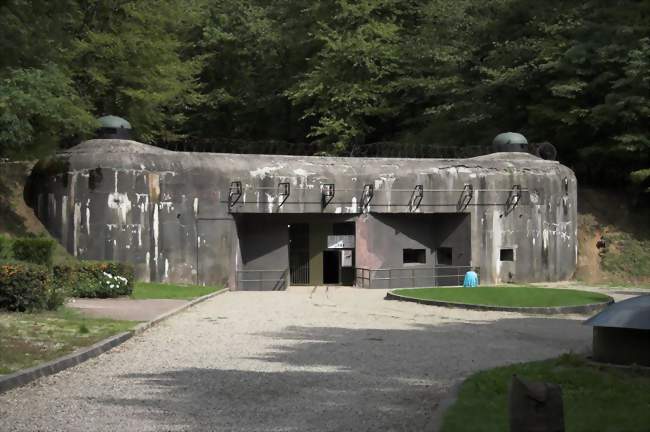 Le fort - Schnenbourg (67250) - Bas-Rhin