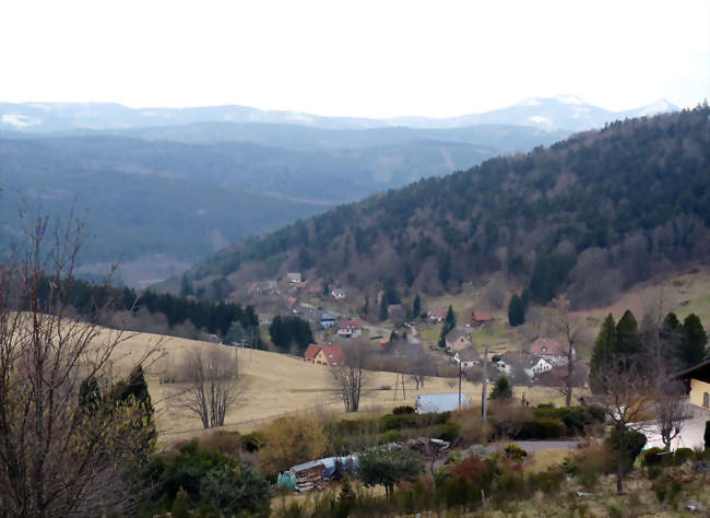 Descente sur Solbach - Solbach (67130) - Bas-Rhin