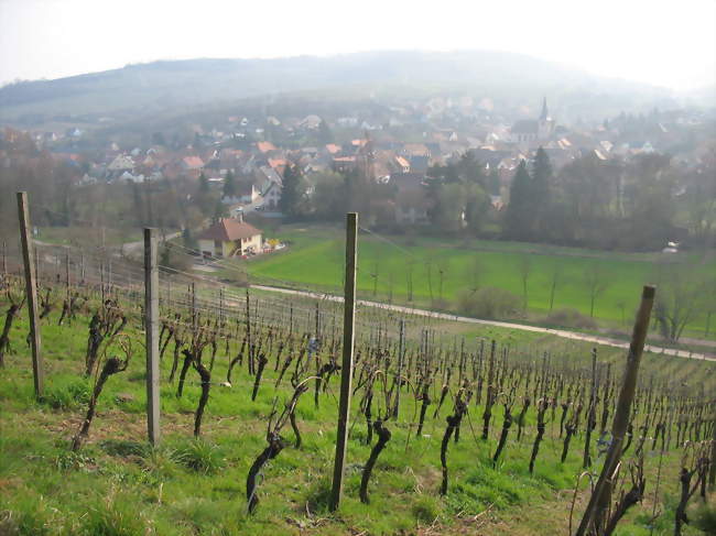 Vue générale de Soultz - Soultz-les-Bains (67120) - Bas-Rhin