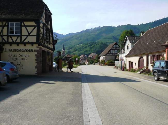 Entrée du village de Steige avec la distillerie Nusbaumer et son alambic en cuivre martelé - Steige (67220) - Bas-Rhin