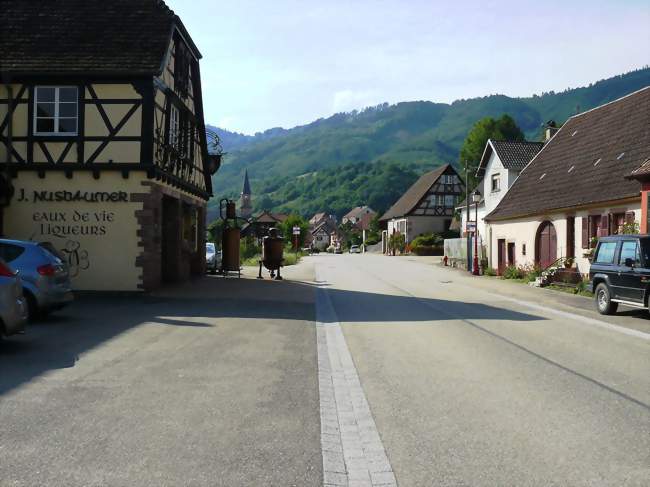 Visite guidée de la distillerie Jos Nusbaumer