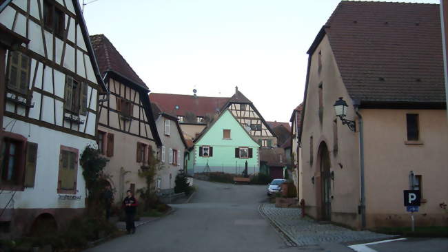 Vue d'une rue de Triembach-au-Val - Triembach-au-Val (67220) - Bas-Rhin
