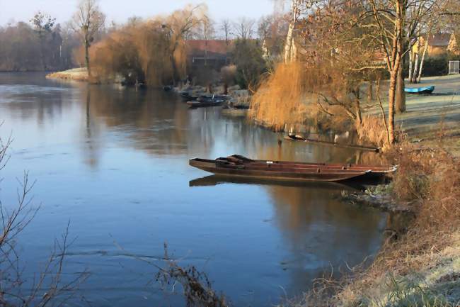 Berges de l'Ill - La Wantzenau (67610) - Bas-Rhin